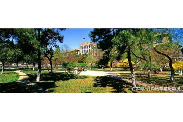 辽宁大学怎么样