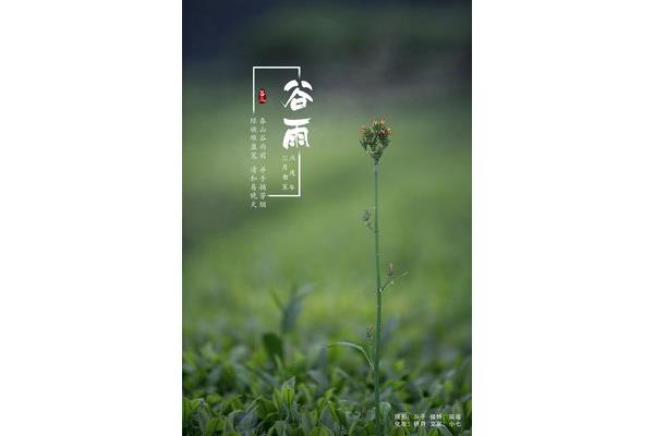 谷雨节气古诗大全