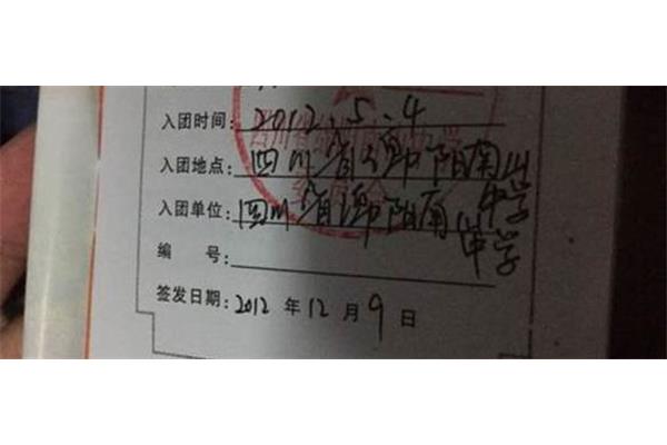 怎么查团员编号