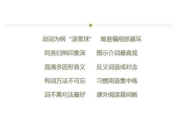 真的反义词