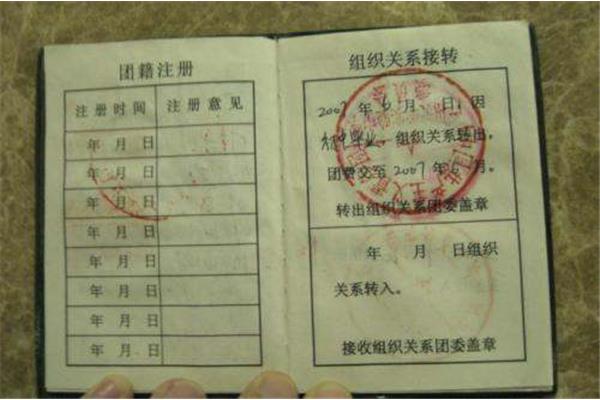 怎么查团员编号