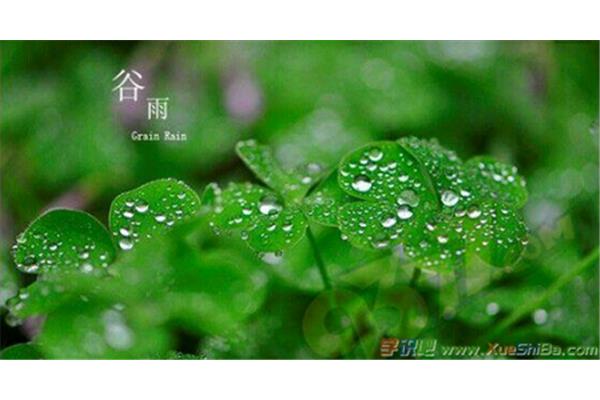 关于谷雨的诗