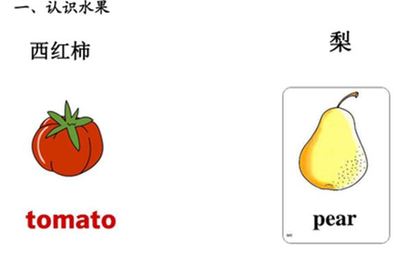 西红柿的英语单词