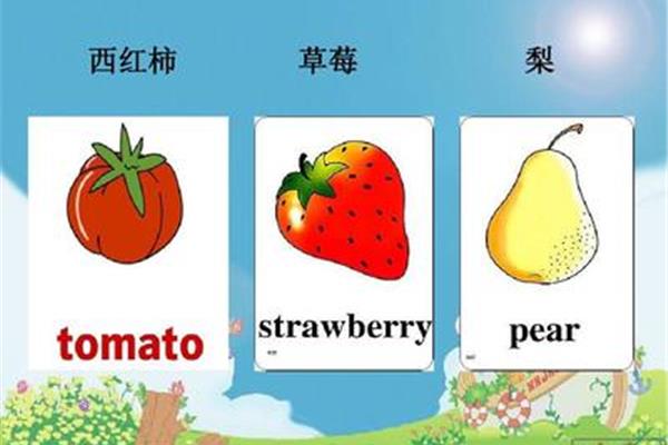 西红柿的英语单词