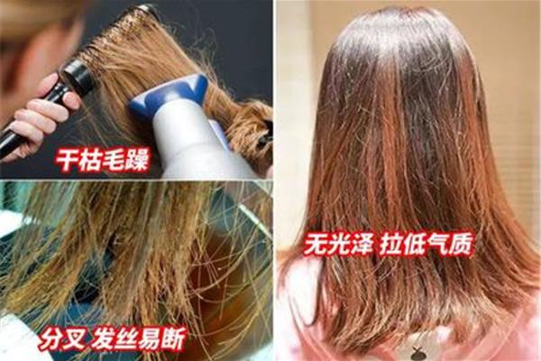 头发分叉的原因
