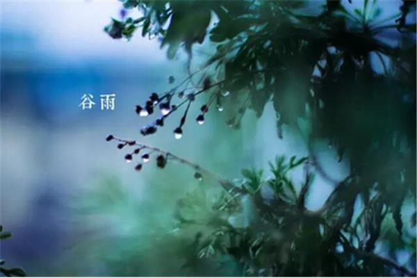 关于谷雨的诗