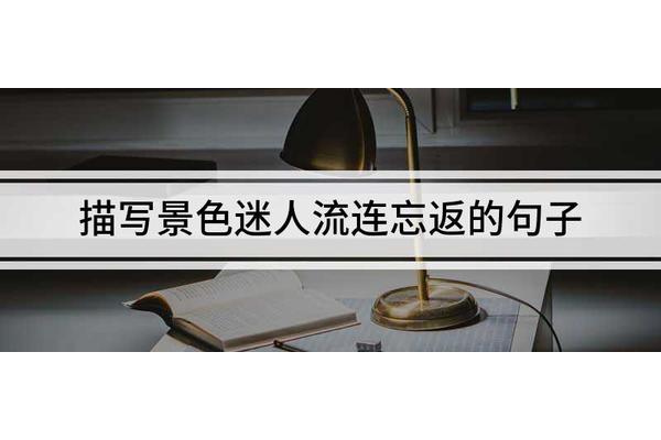 恋恋不舍的句子