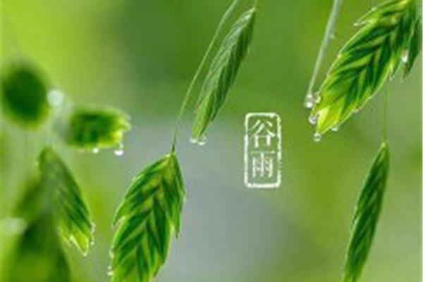 关于谷雨的诗