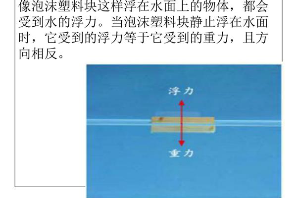 浮力怎么求