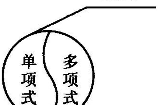 单项式的概念