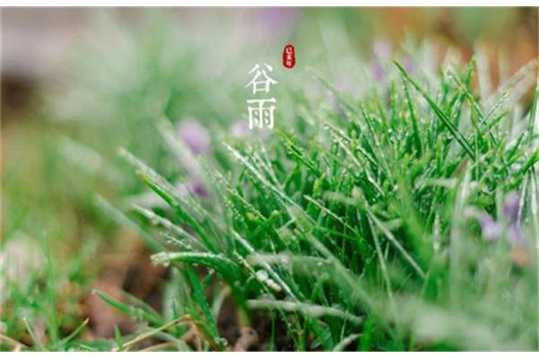 关于谷雨的诗