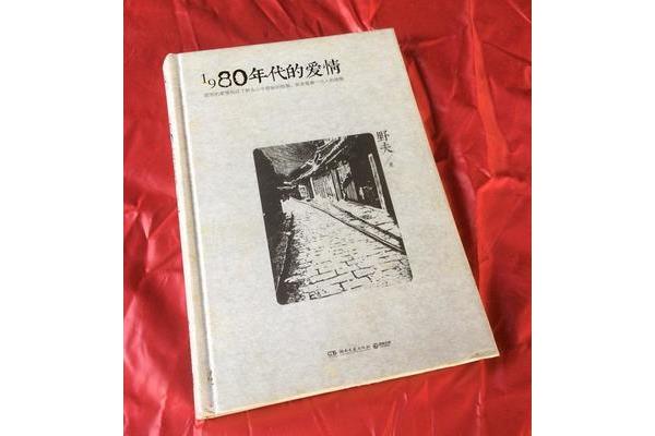 第九个寡妇小说