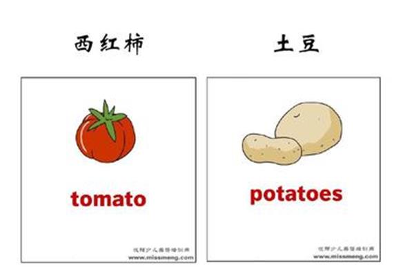西红柿的英语单词