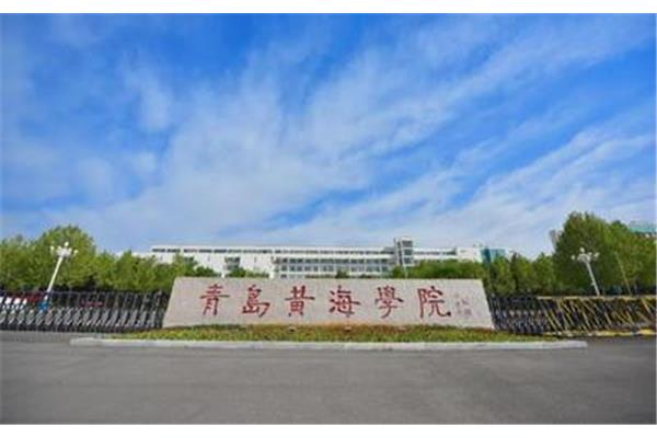 山东黄海学院