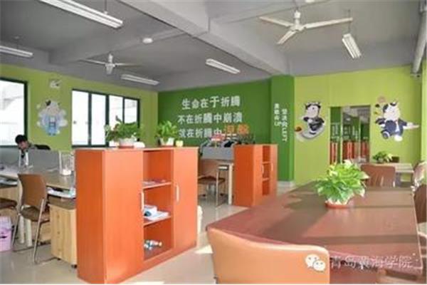 山东黄海学院