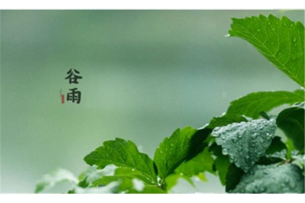 关于谷雨的诗