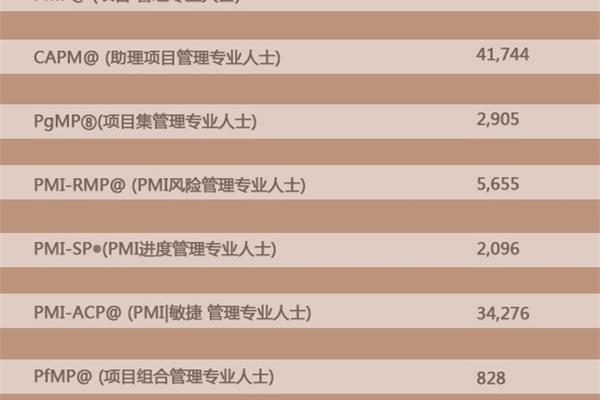 pmp含金量高吗