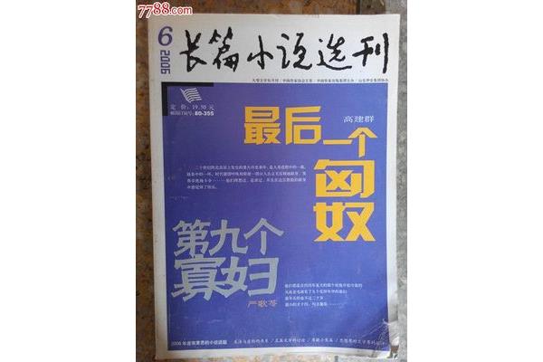 第九个寡妇小说