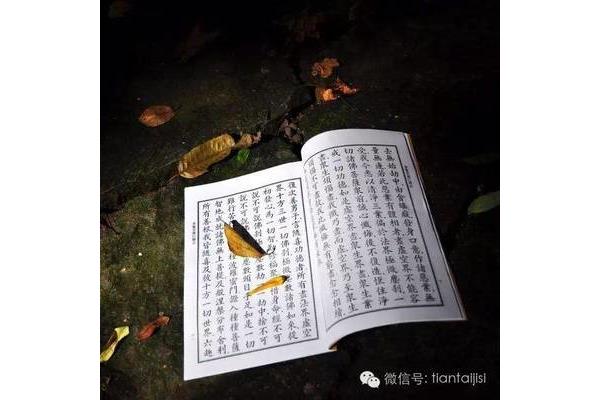 有的人朗诵