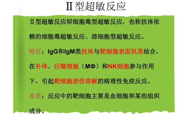 二型超敏反应