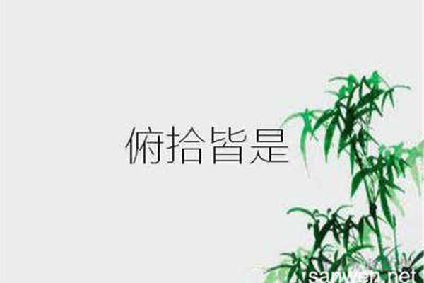 俯拾皆是的意思