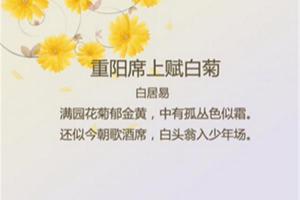 重阳节诗句