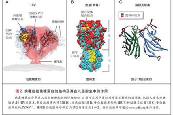 脊髓灰质炎的症状