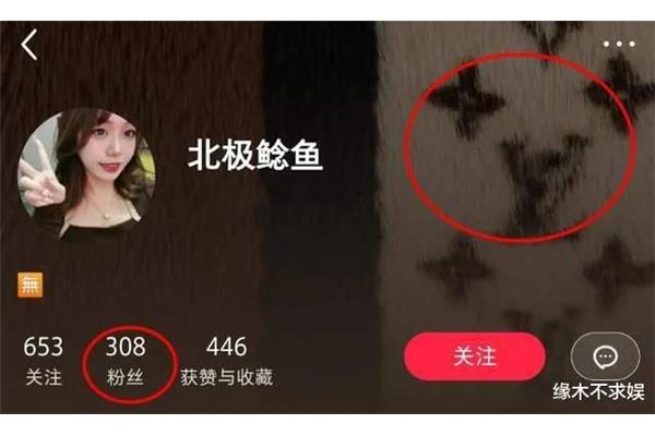 缘木求什么