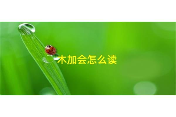 木加会怎么读