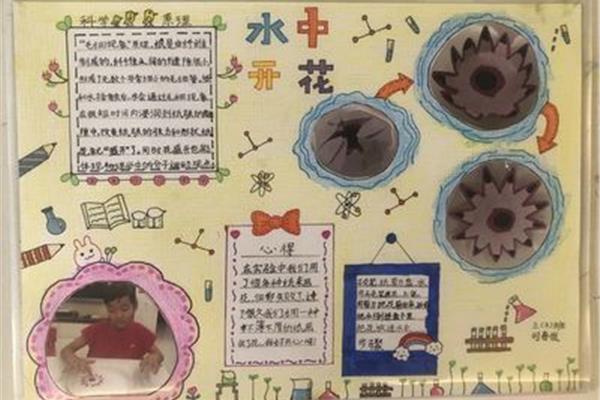 三年级科学手抄报