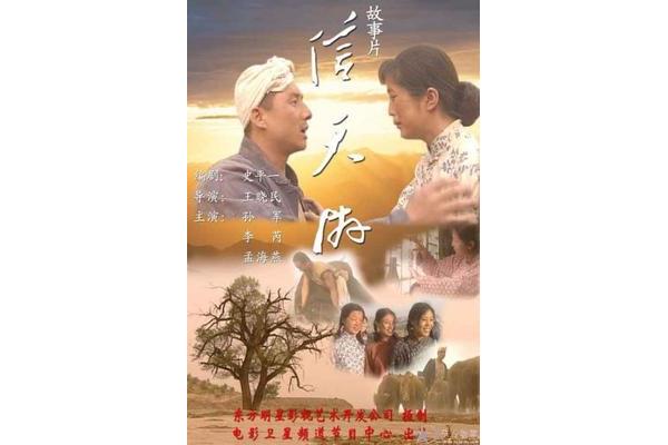 信天游电影