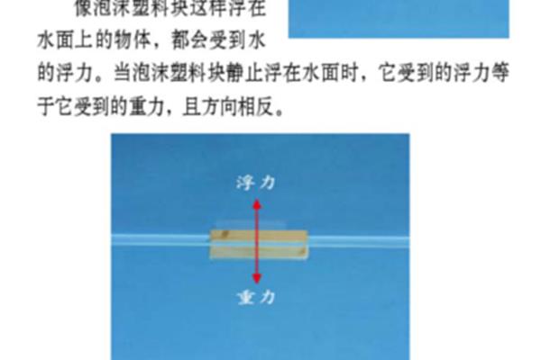 浮力怎么求