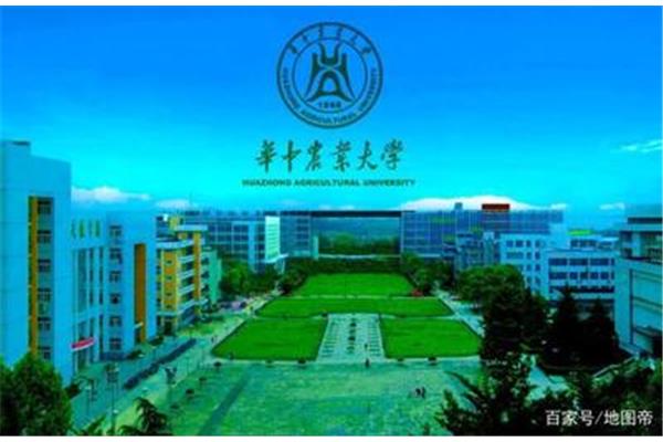 湖北大学在哪