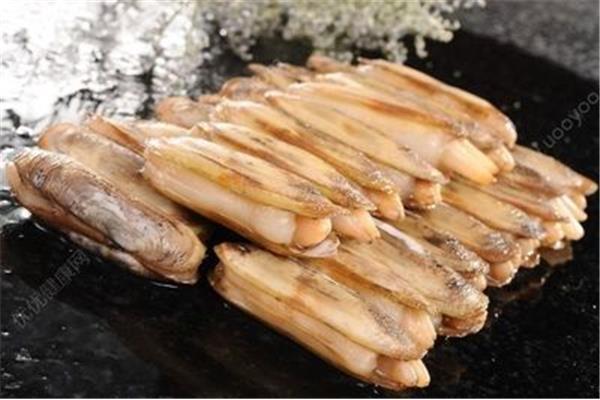 蛏子怎么吃