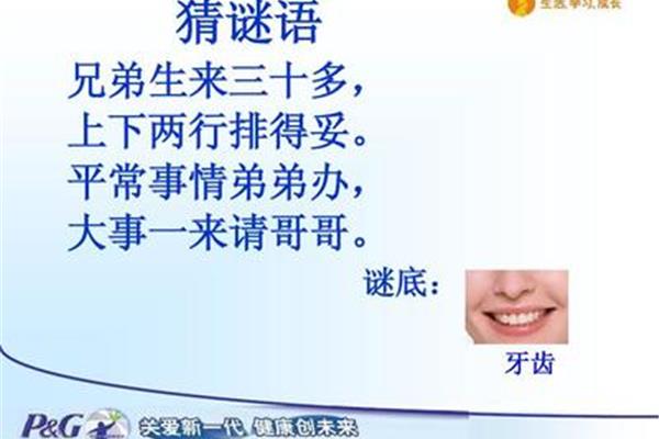 关于牙齿的谜语