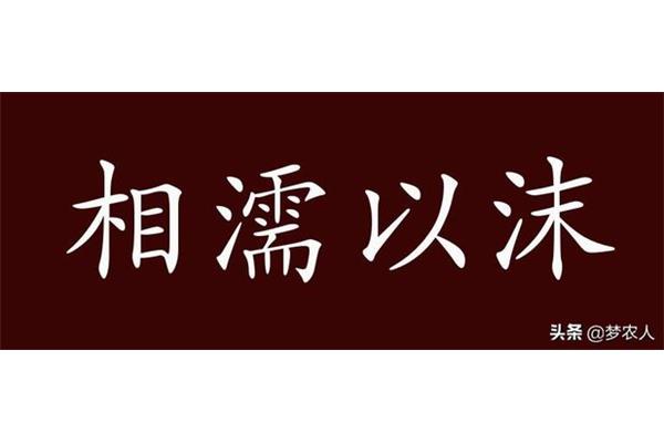 生死与共的意思