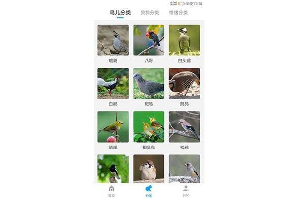 八哥手机版