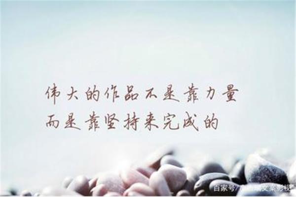 拼搏励志语录