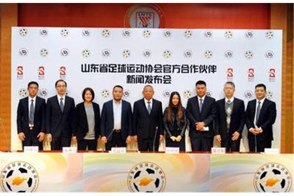 鲁能集团有限公司