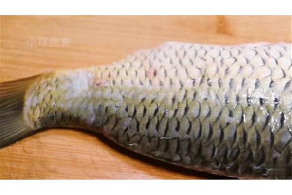怎么刮鱼鳞