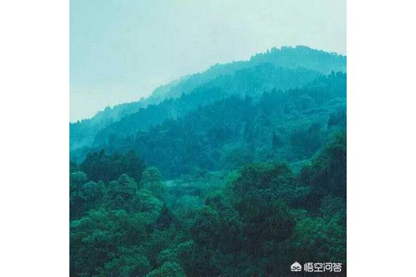 什么喜若什么