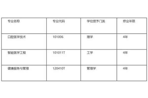 美术学专业代码