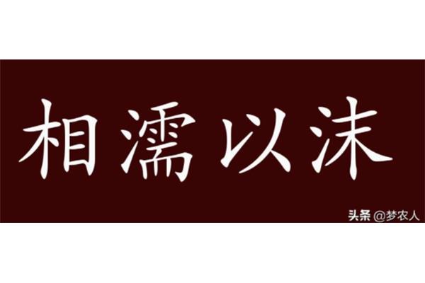 生死与共的意思