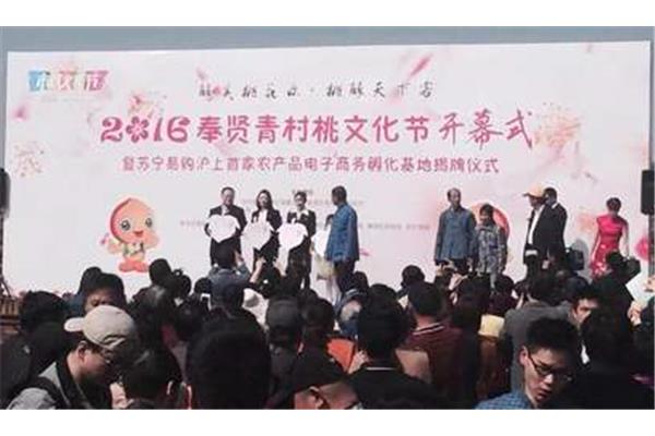 奉贤人才网