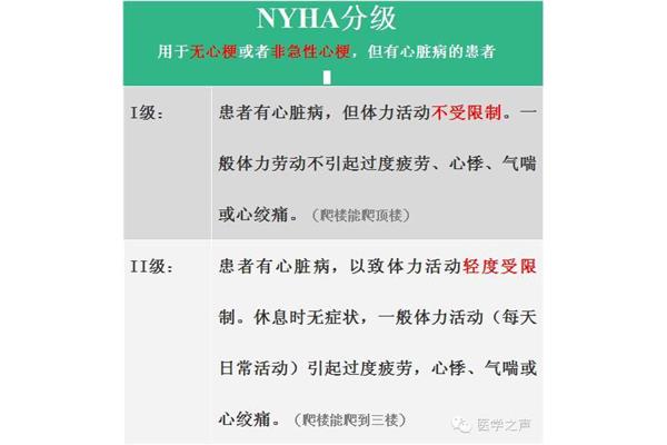 心功能分级