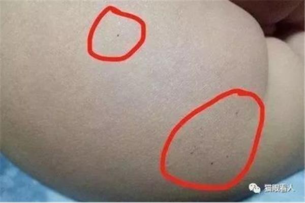 幼儿十三处