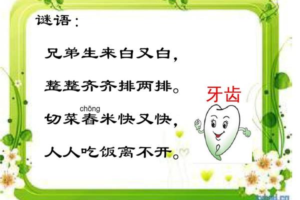 关于牙齿的谜语