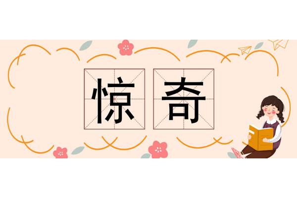 惊讶的意思