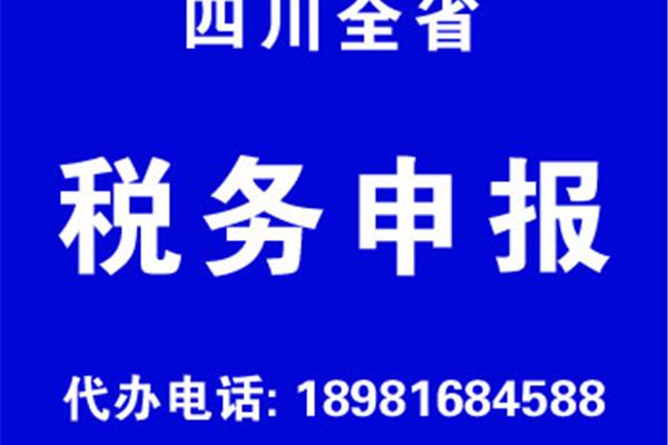 四川税务申报