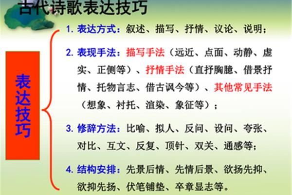 诗歌表达技巧